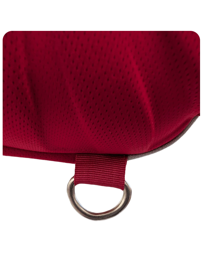 Draco, Red dragon-shaped backpack close-up view of the bottom hook